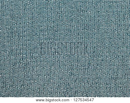 Background - Gray Green Transparent Silk Fabric