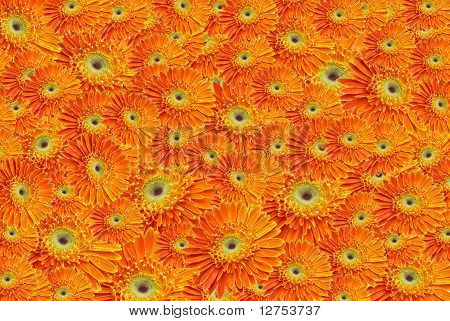 Single Orange Flowertiles