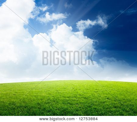 草和完美的蓝色天空领域
