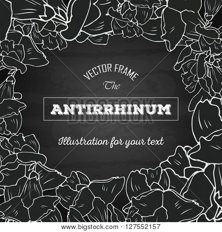 hand drawn floral frame on the chalkboard