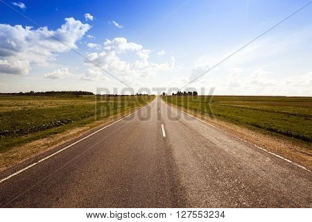 Rural Asphalted Road In The Summer. Road Through The Field