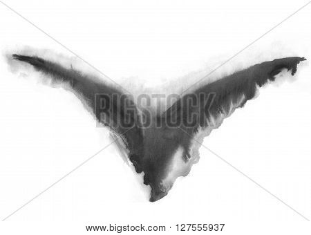 watercolor abstract background. illustration of black bird