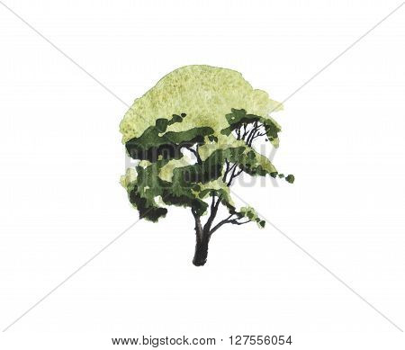 watercolor illustration of green tree. ecology symbol