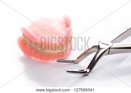 Teeth Model With Forceps On White Background