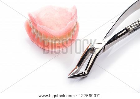 Teeth Model With Forceps On White Background