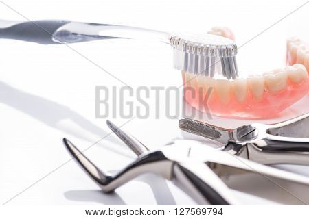 Teeth Model With Toothbrush And Forceps On White Background
