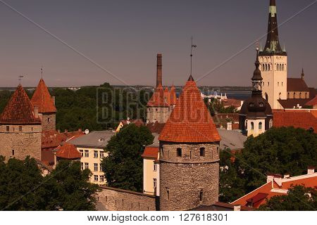 Europe Estonia Tallinn