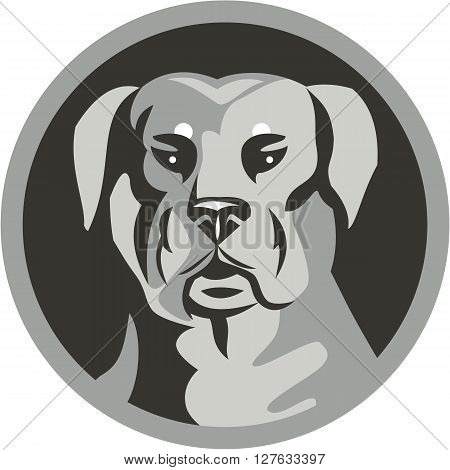 Black and white illustration of a Rottweiler Metzgerhund mastiff-dog guard dog head viewed from the front set inside circle done in retro style.
