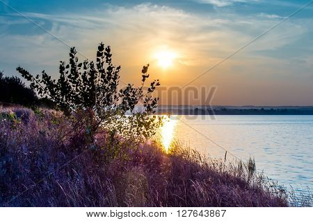 Summer sunset on the riverbank. City bridges over the river Dniepr. Kaniv. Ukraine.