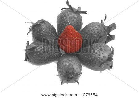 Strawberrys