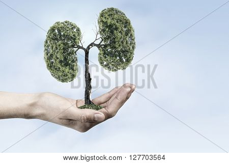 Green eco life 