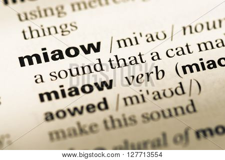 Close Up Of Old English Dictionary Page With Word Miaow.