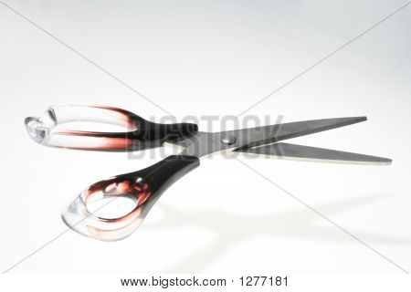 Scissors   8305