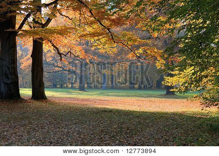 cadere in un parco
