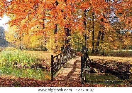 ponte in un parco in autunno