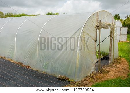 Horticultural polytunnel for growing tender plants protecting them from the elements
