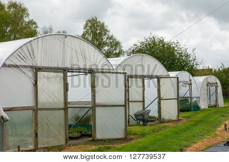 Horticultural polytunnel for growing tender plants  and offering protection from the elements