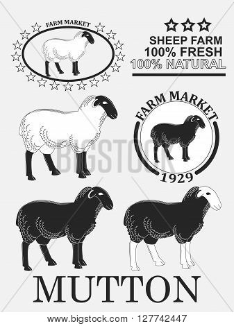 Set Of Premium Lamb Labels, Mutton, Badges And Design Elements. Vector