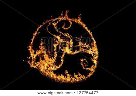 Tri-Skell fiery Celtic simbol made with fire