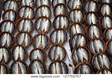 fish at the Talat Khouadin Markt in Vientiane the city of Vientiane in Lao in Souteastasia.