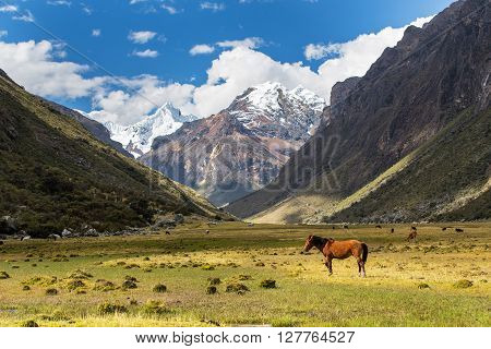 Mountain landscape in the Andes, Peru, Cordiliera Blanca
