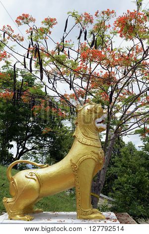 Asia Thailand Mae Hong Son