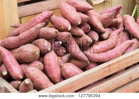 Sweet potato in basket at fruit market.