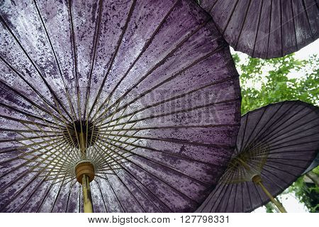 Asia Thailand Mae Hong Son Pai