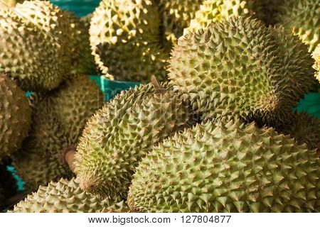 Durian fruit in the basket at the fruits market