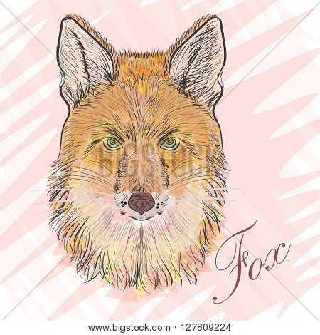 Vector Illustrative Portrait of a Red Fox