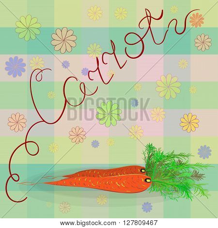 Carrots. Vector illustration. Series of food and drink and ingredients for cooking.