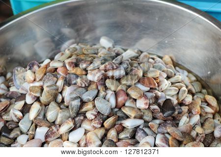 salted cockle for cooking in the market