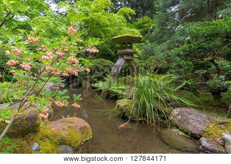 Japanese Snowbell Flowers in Bloom by Creek and Stone Lantern at Japanese Garden in Spring