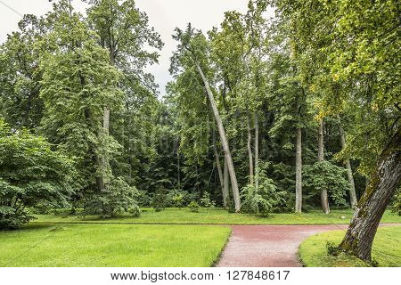 Beautiful park space in the suburbs of St. Petersburg in the summer