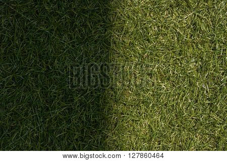 Green Grass Texture Background, Sunlight Causes Shadows.