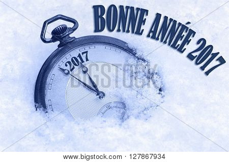 Happy New Year 2017 greeting in French language bonne annee text