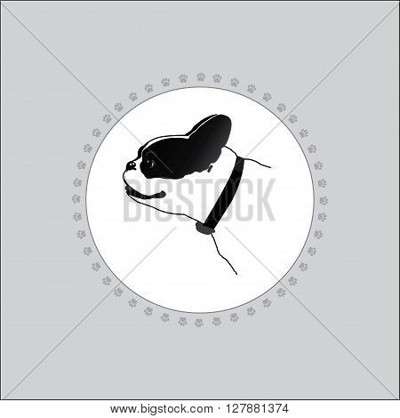 Dog is white with black spots. the dog's head. Frame made of dog gatherings. Silhouette on a white background.