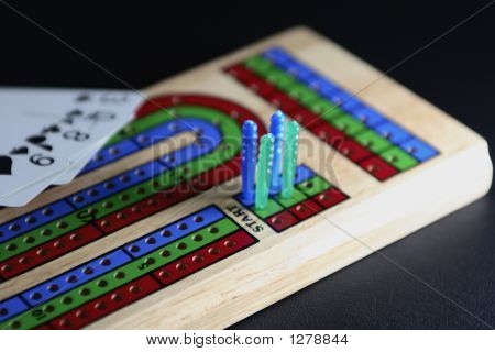 Cribbage hallituksen