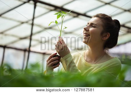 Farmer Girl Holding Green Seedlings In Sunny Greenhouse