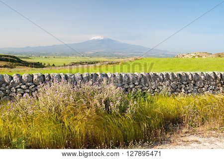View of a typical dry stone wall a of a field of wheat in the hills near Ragusa Sicily and mount Etna in the distance