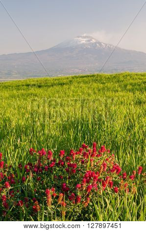 Landscape Of Sicily