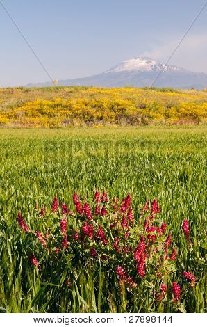 Landscape Of Sicily