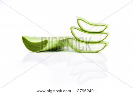 Aloe vera plant isolated on white background