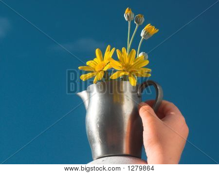 Чайлдс рука и цветы