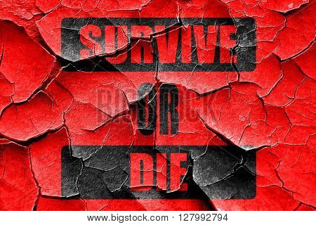 Grunge cracked Survive or die