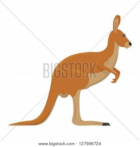 Kangaroo vector illustration isolated on white background