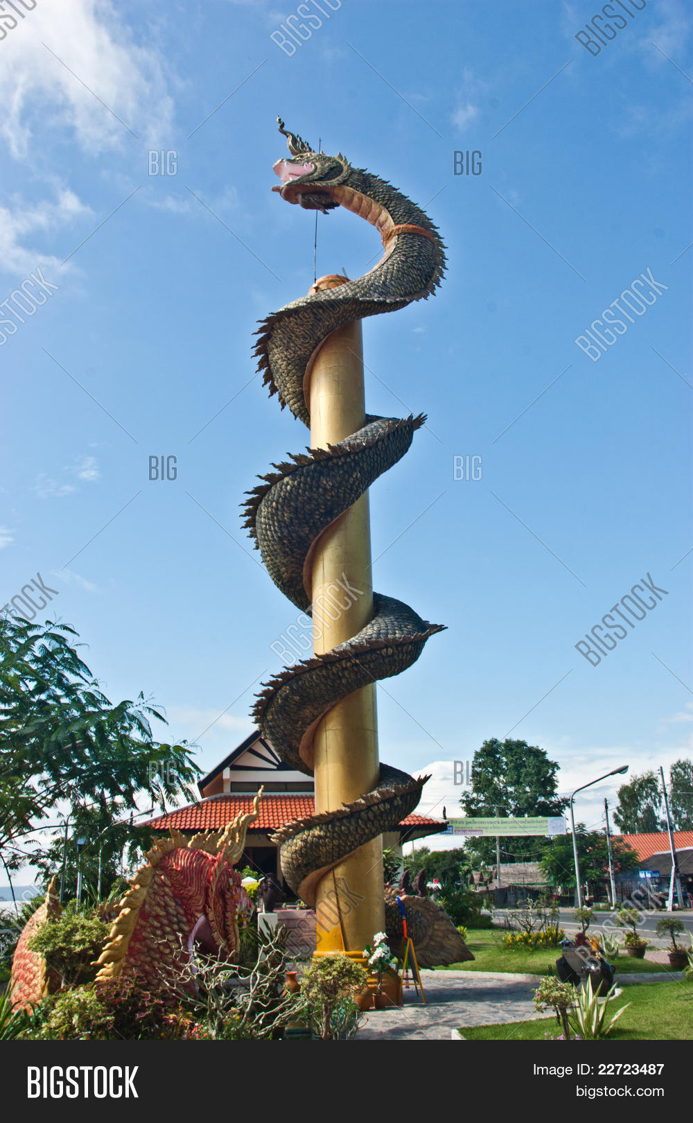 Image Preview