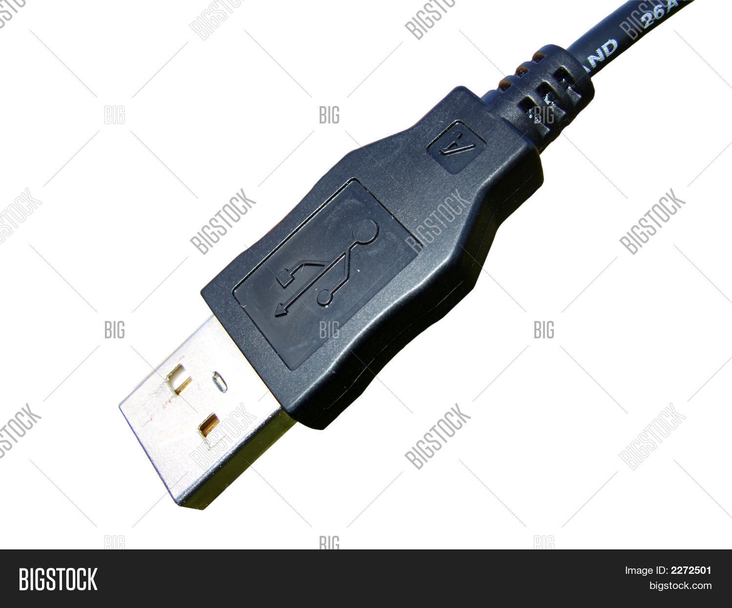 Image Preview