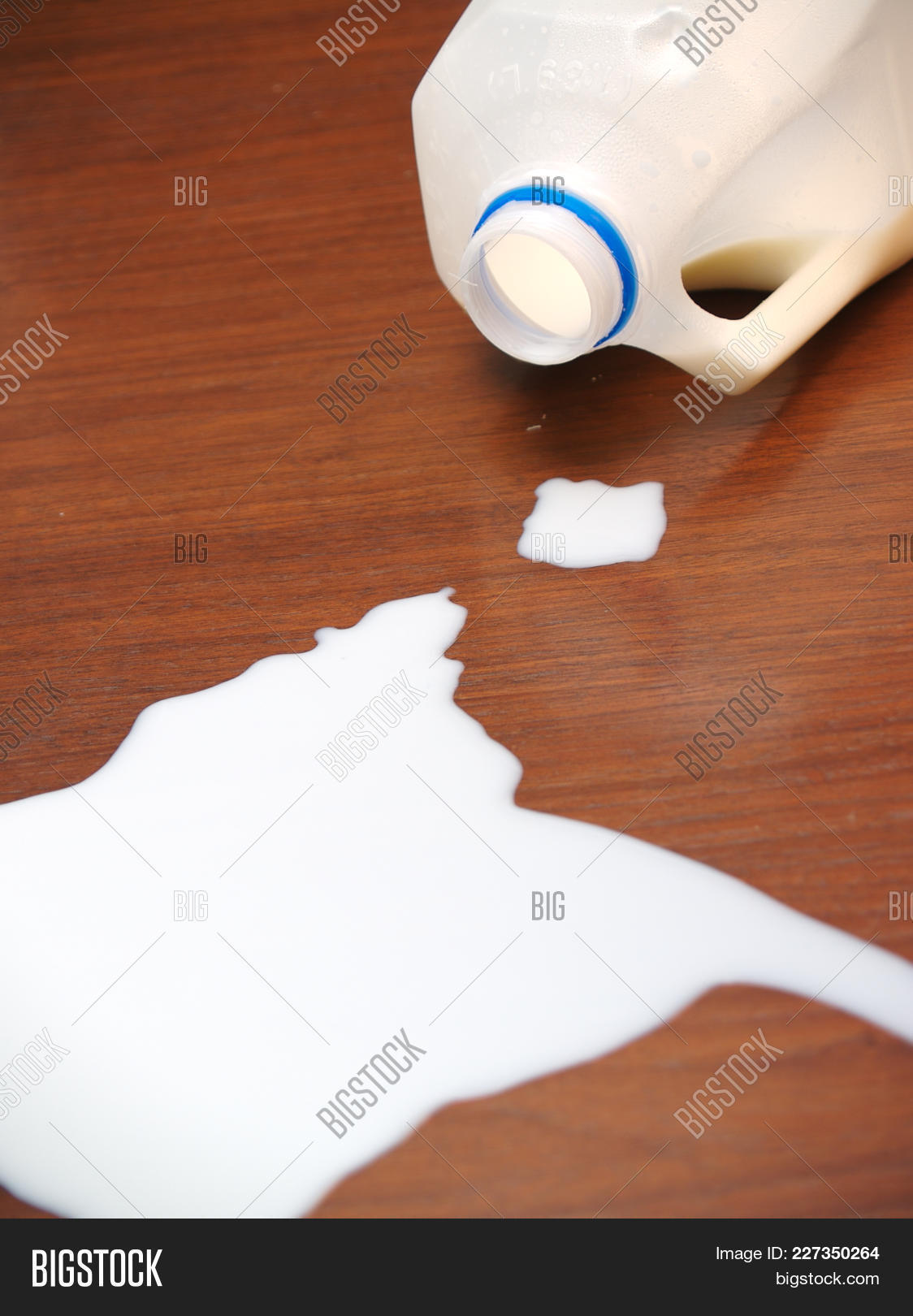 Crying Over Spilt Milk Saying Background Withody Crying Over Spilt Milk Saying Background Withody