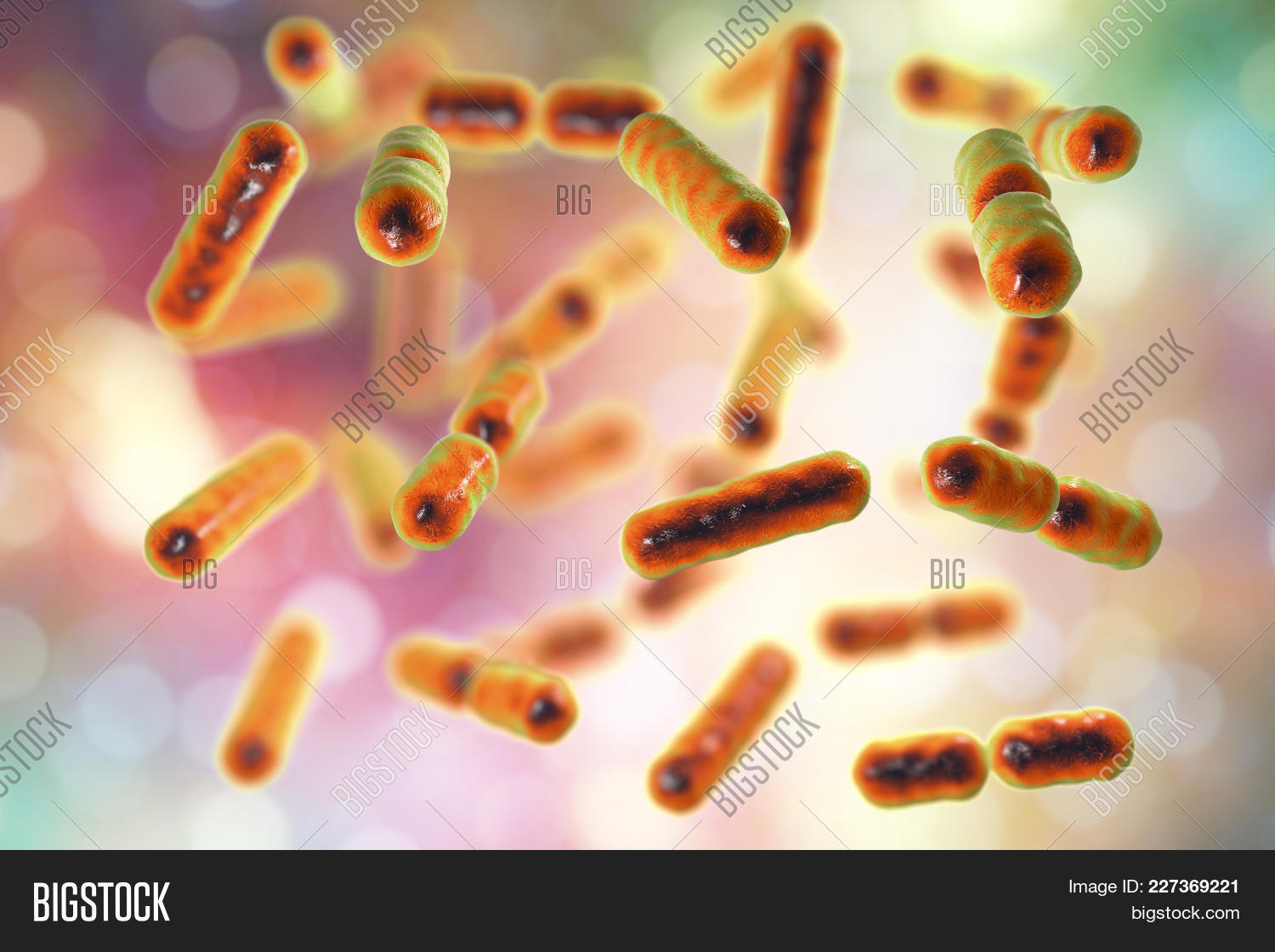Bacteria Bacteroides Image & Photo (Free Trial) | Bigstock